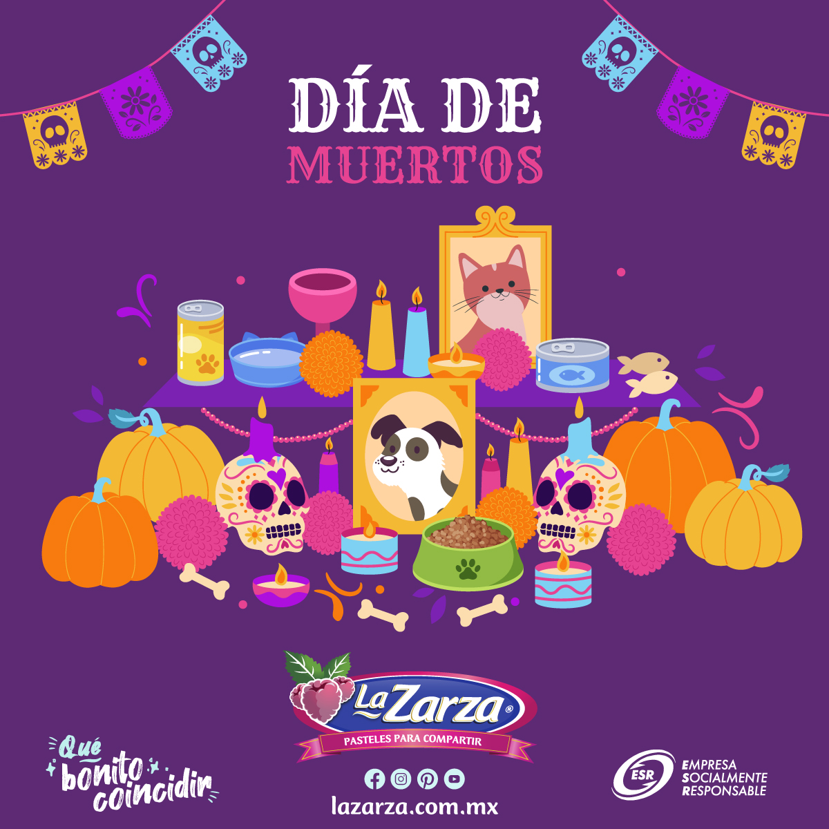 Ilustración con los elementos de una ofrenda para mascotas